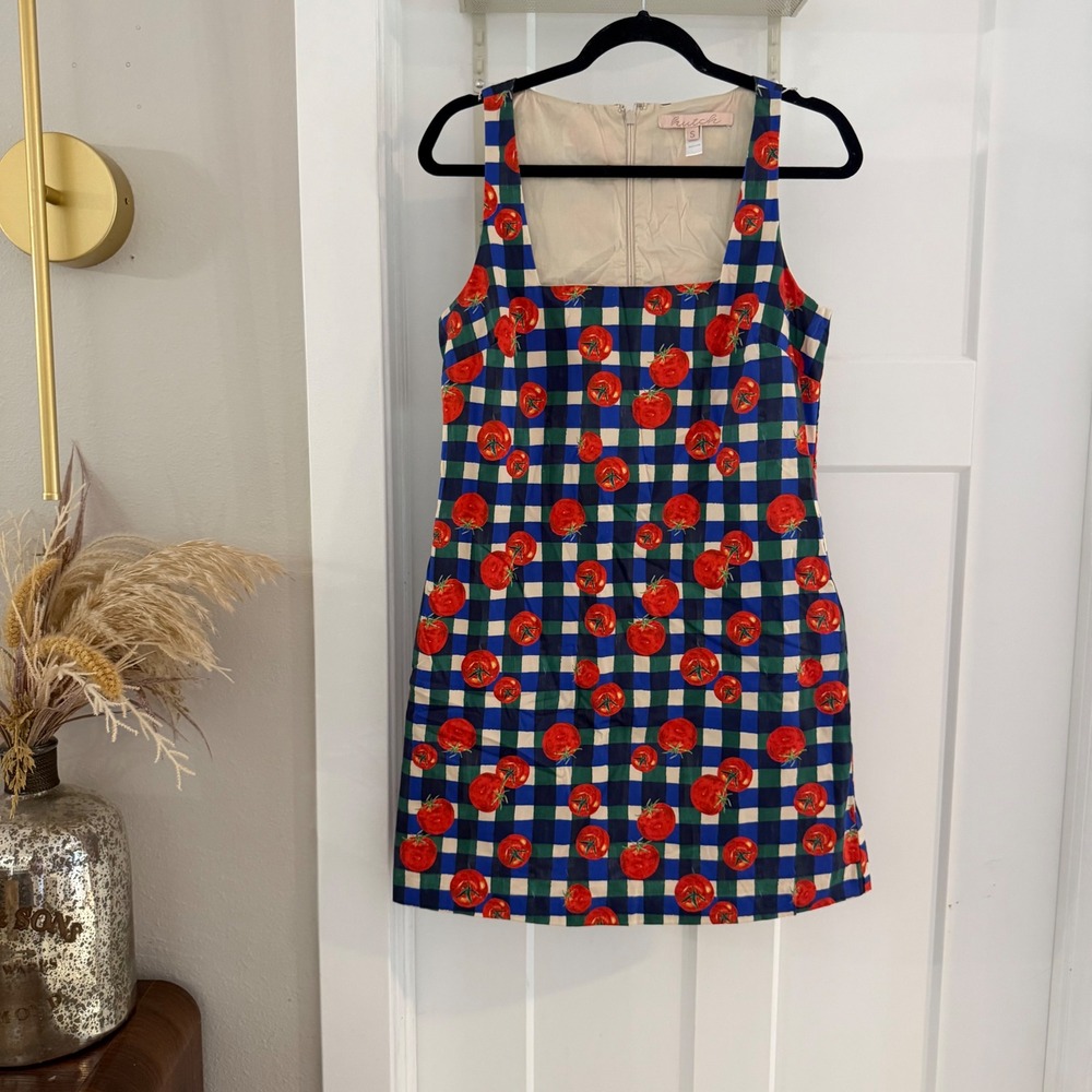 Hutch Sara Mini Dress Blue Gingham Tomato Print Square Neck S Picnic Cottagecore